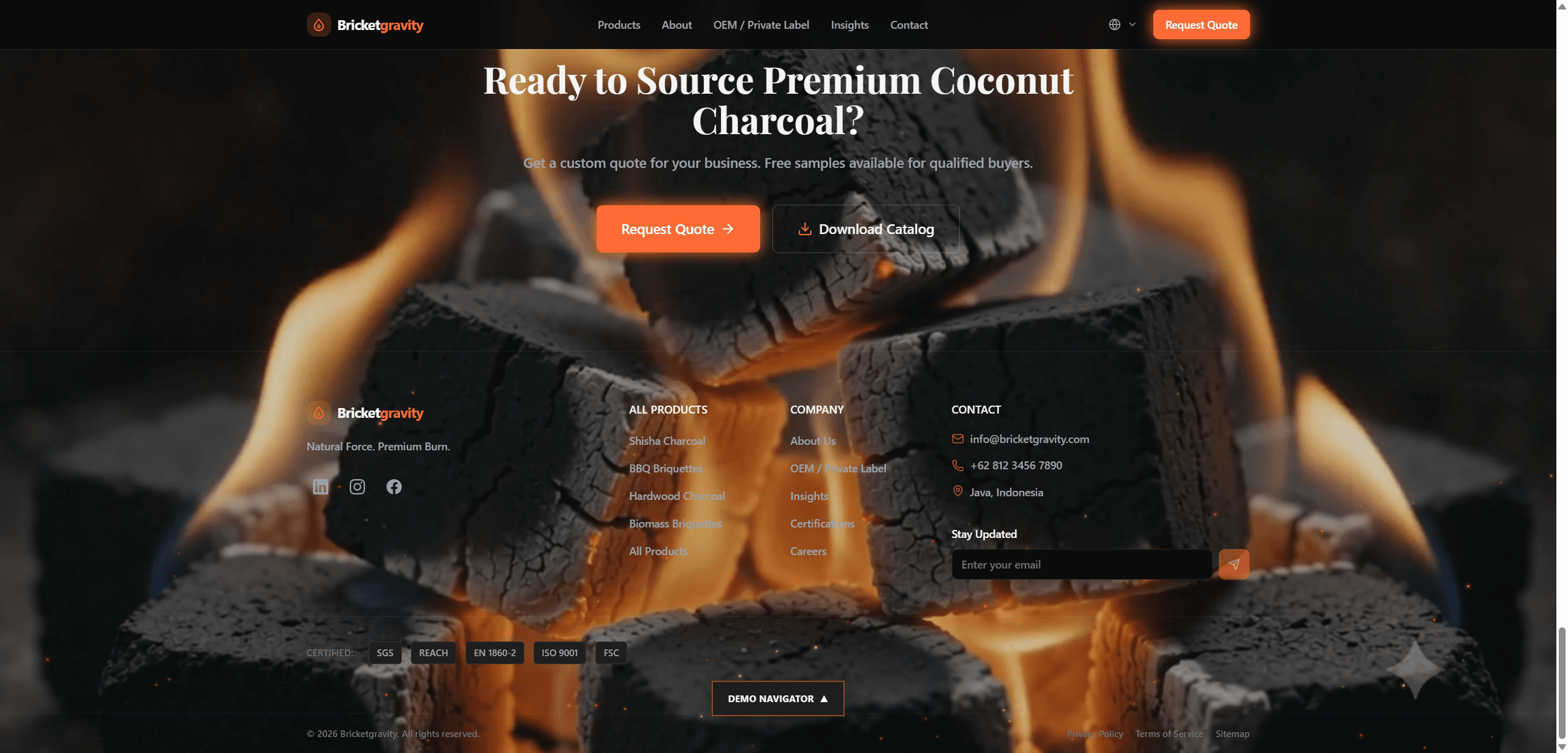 Bricket Export Website preview 1